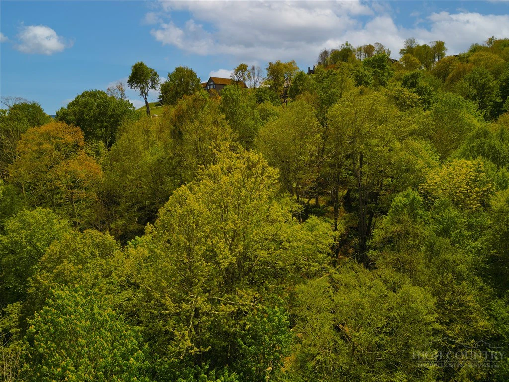 Image number 5 for the current listing