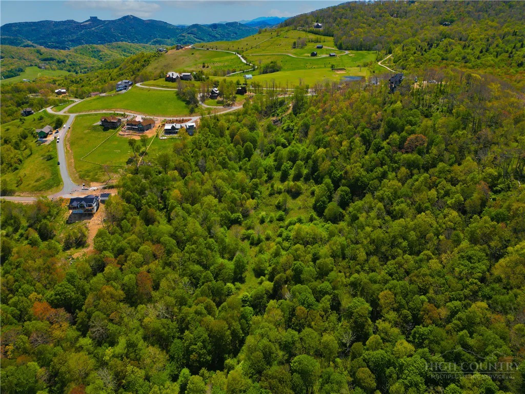 Image number 7 for the current listing