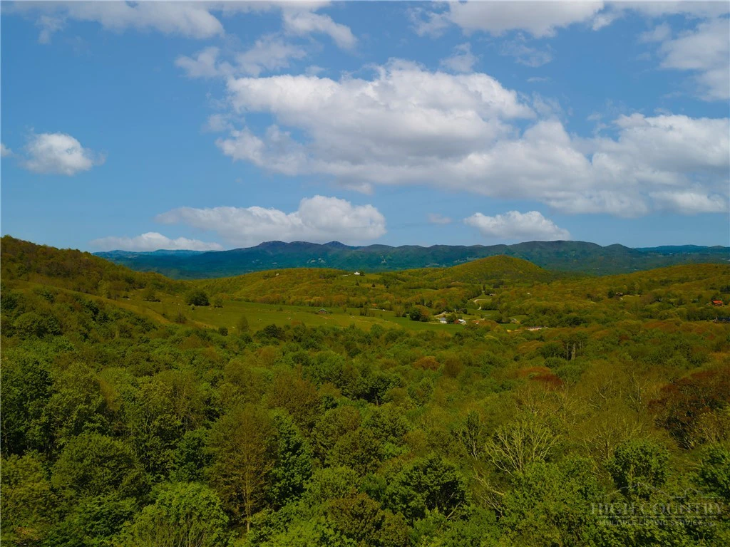 Image number 10 for the current listing
