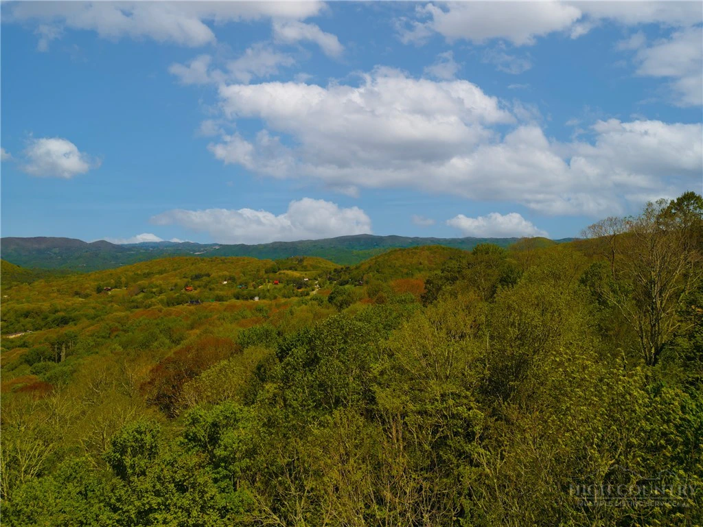 Image number 11 for the current listing
