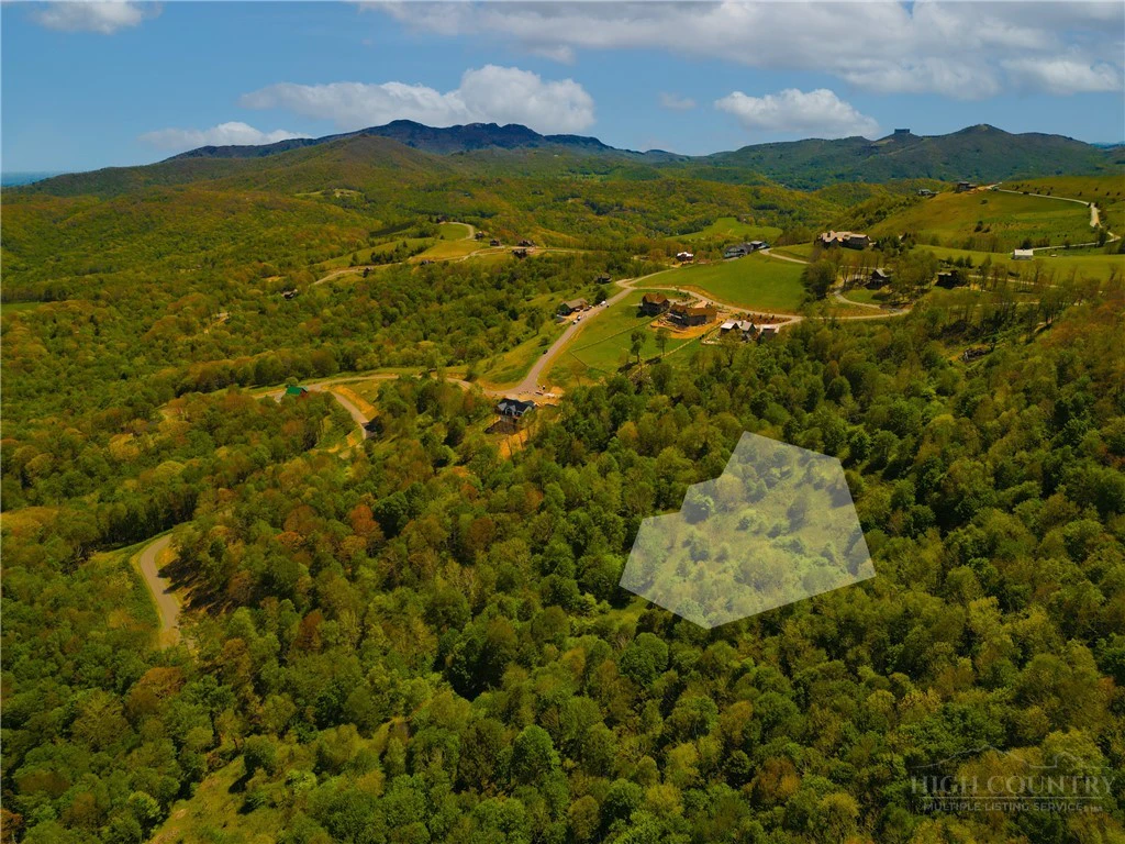 Image number 12 for the current listing