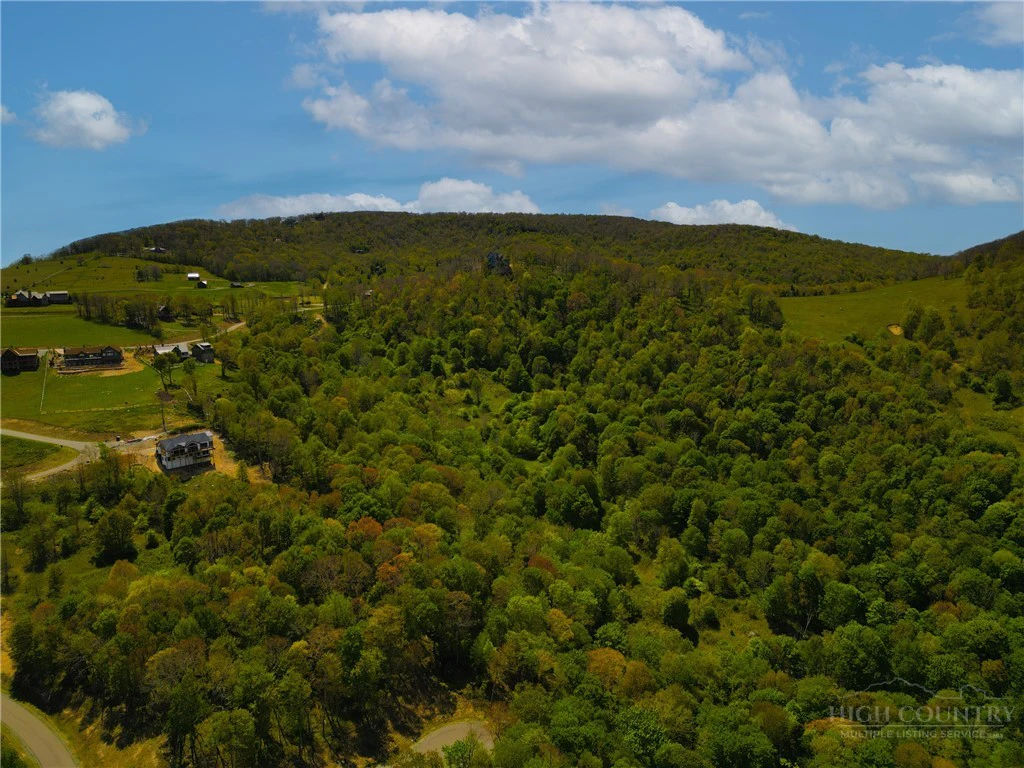 Image number 13 for the current listing