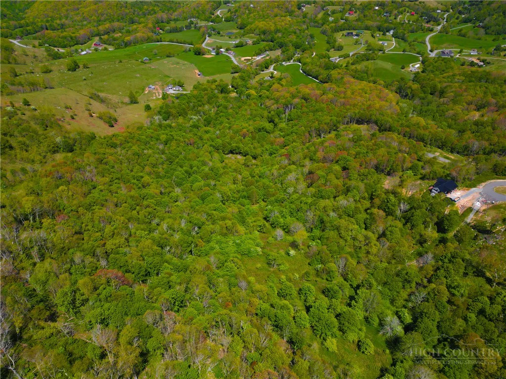 Image number 14 for the current listing
