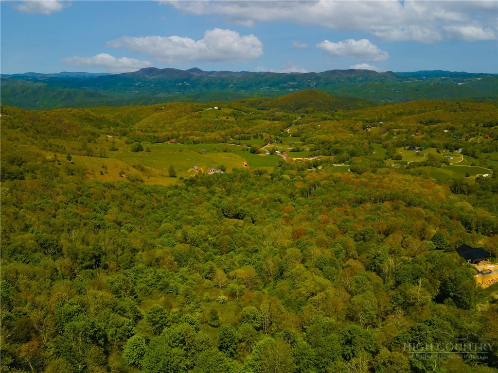 Image number 15 for the current listing