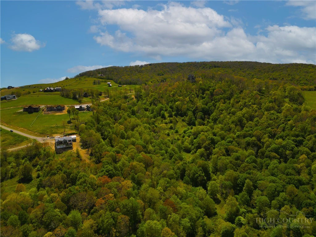 Image number 16 for the current listing