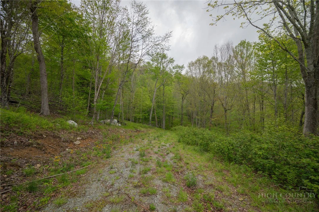 Image number 2 for the current listing