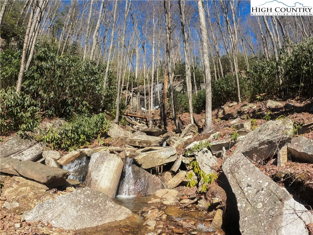 Image number 5 for the current listing