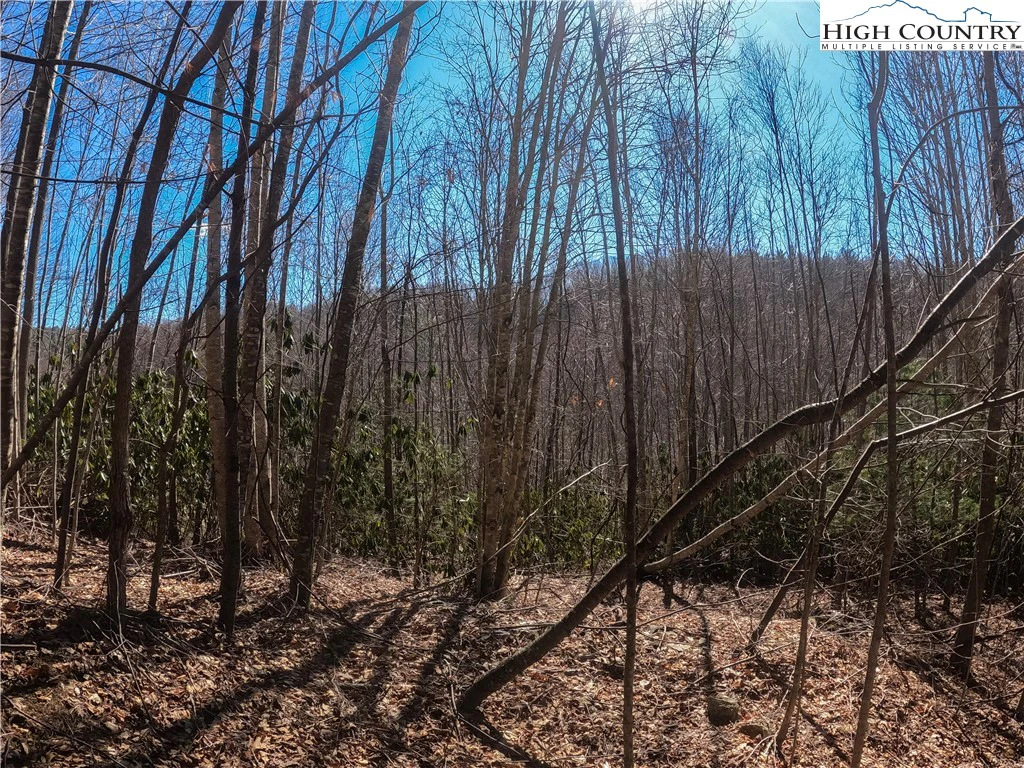 Image number 1 for the current listing