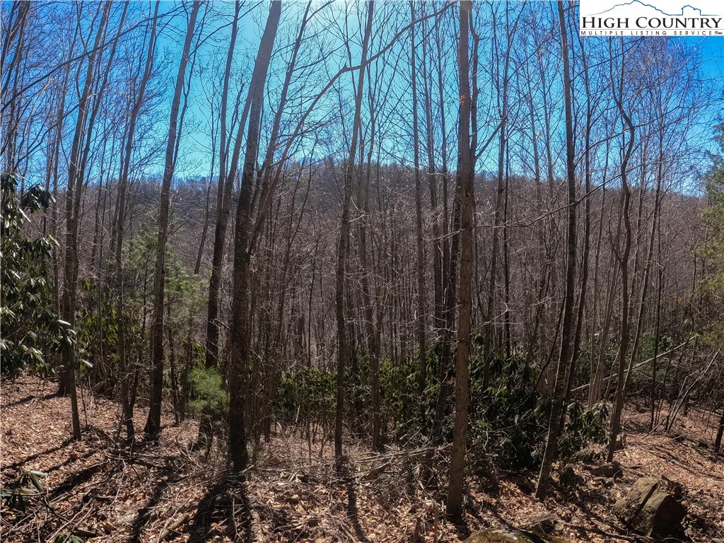 Image number 21 for the current listing
