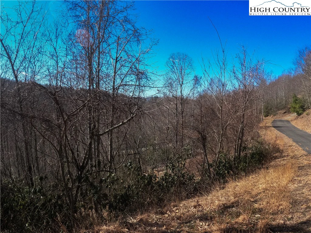 Image number 18 for the current listing
