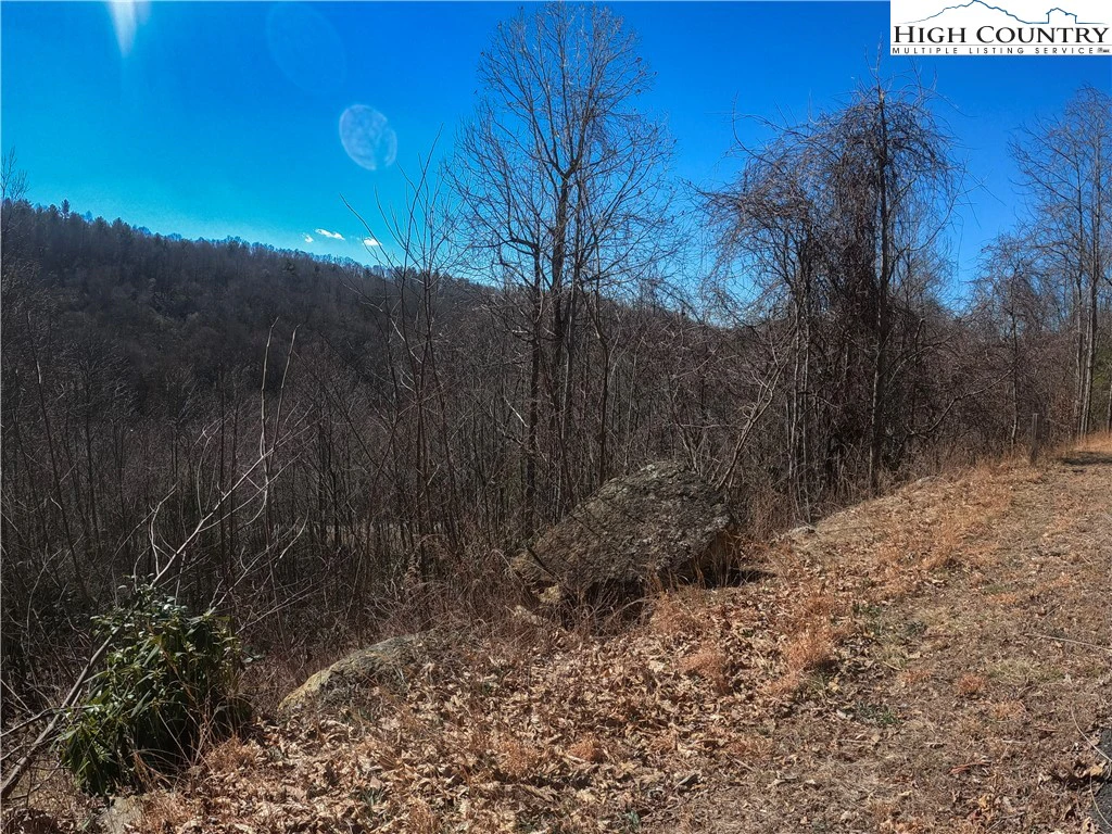 Image number 17 for the current listing
