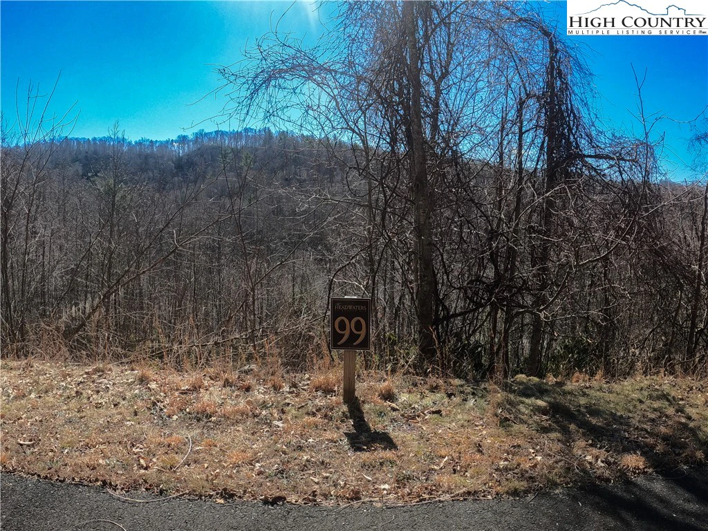 Image number 16 for the current listing