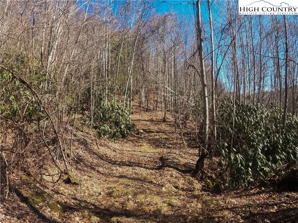 Image number 14 for the current listing