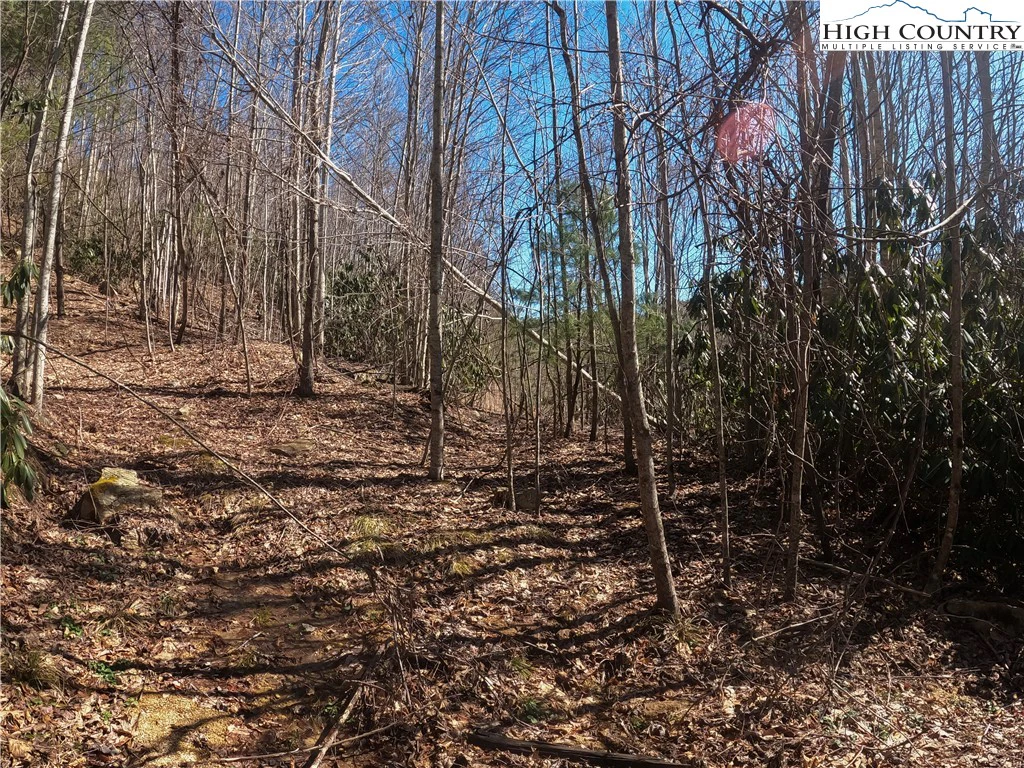 Image number 13 for the current listing