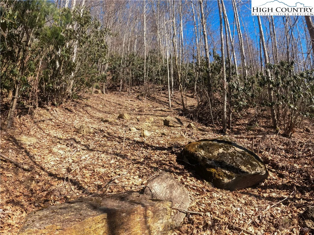 Image number 2 for the current listing