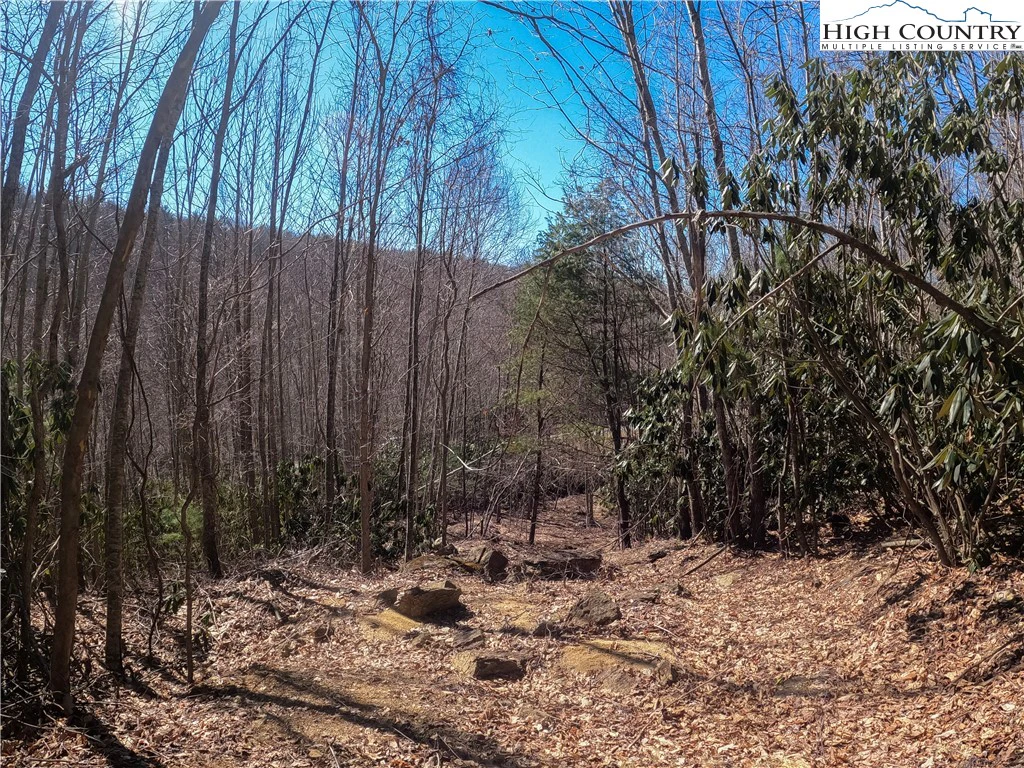 Image number 11 for the current listing
