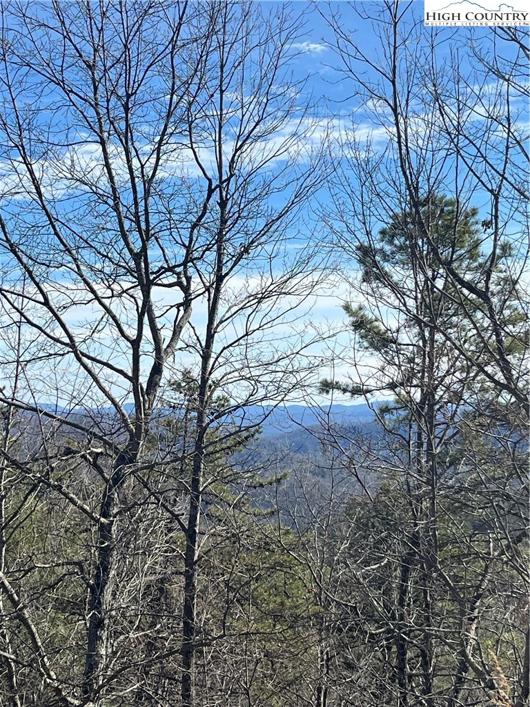 Image number 1 for the current listing