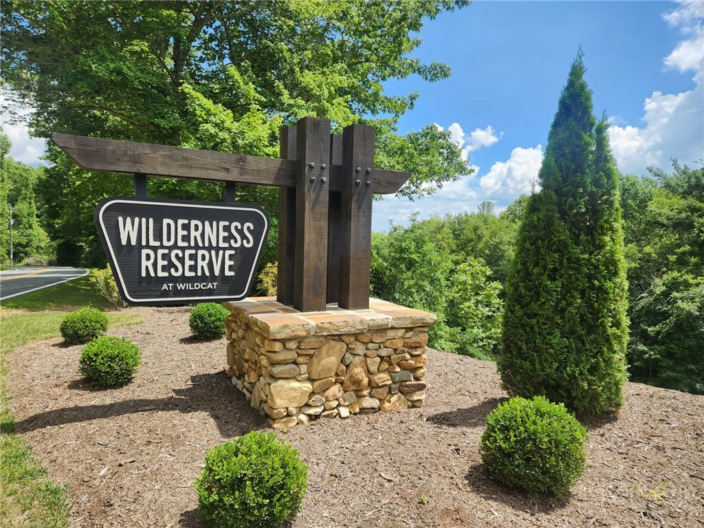 Image number 1 for the current listing