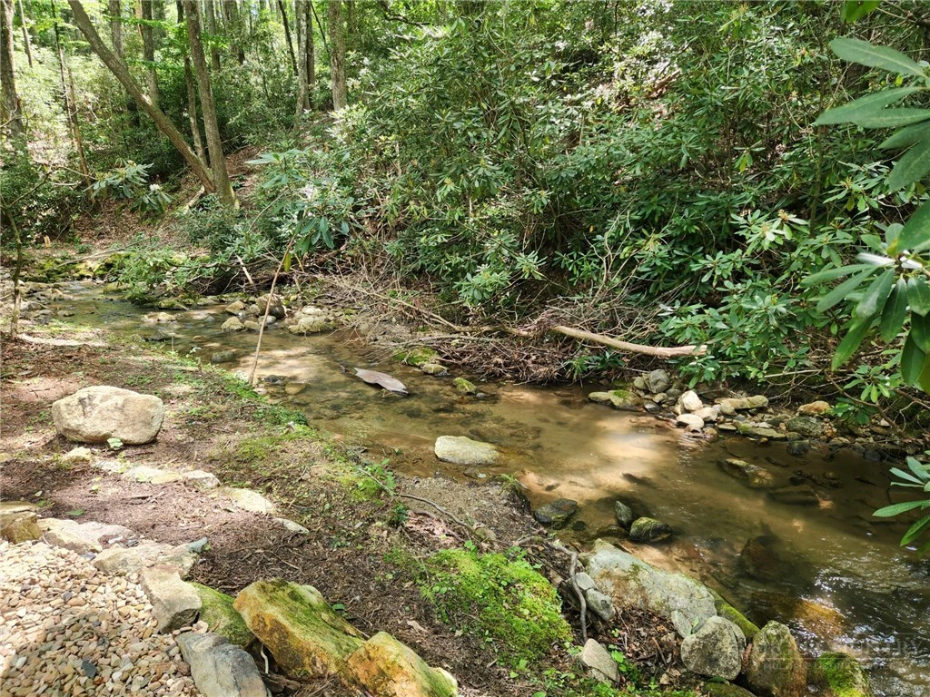 Image number 2 for the current listing
