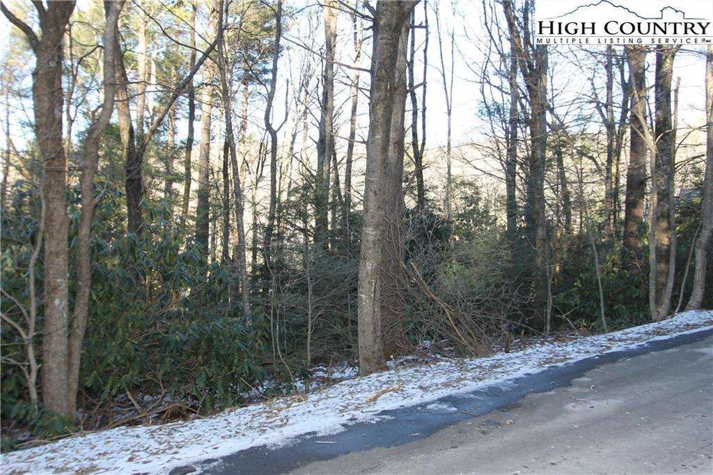 Image number 3 for the current listing