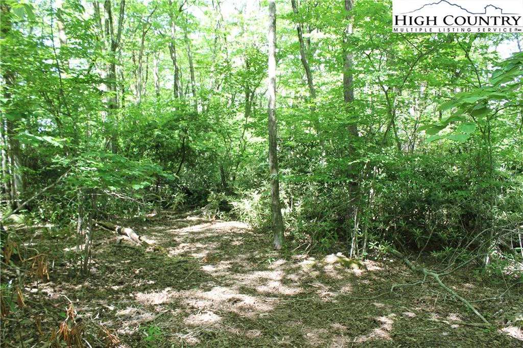 Image number 1 for the current listing