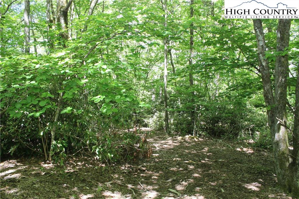 Image number 3 for the current listing