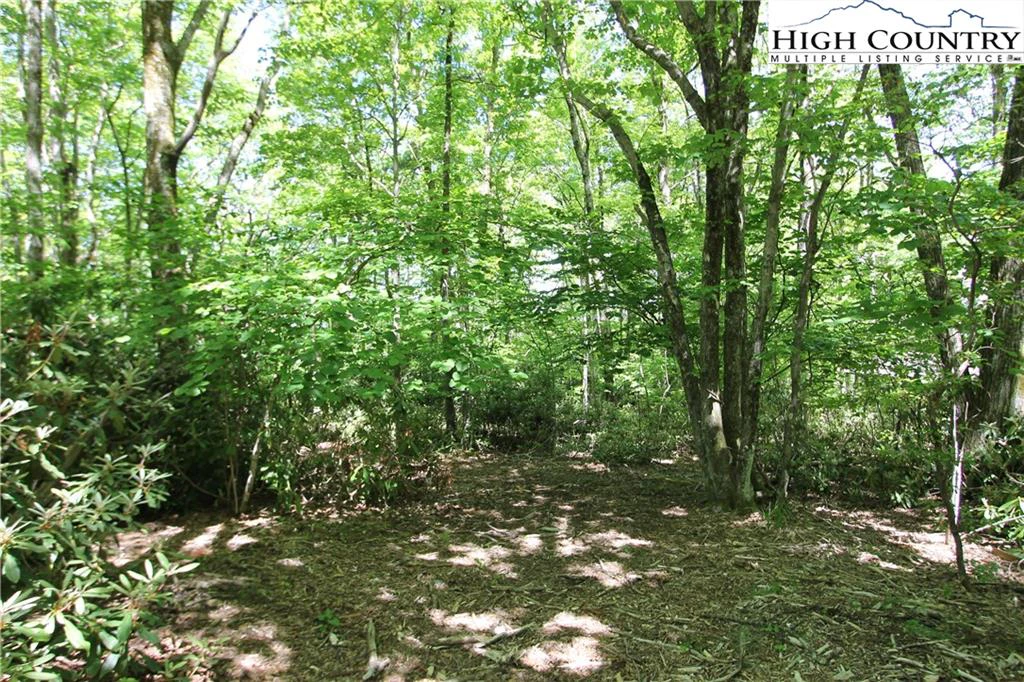 Image number 4 for the current listing