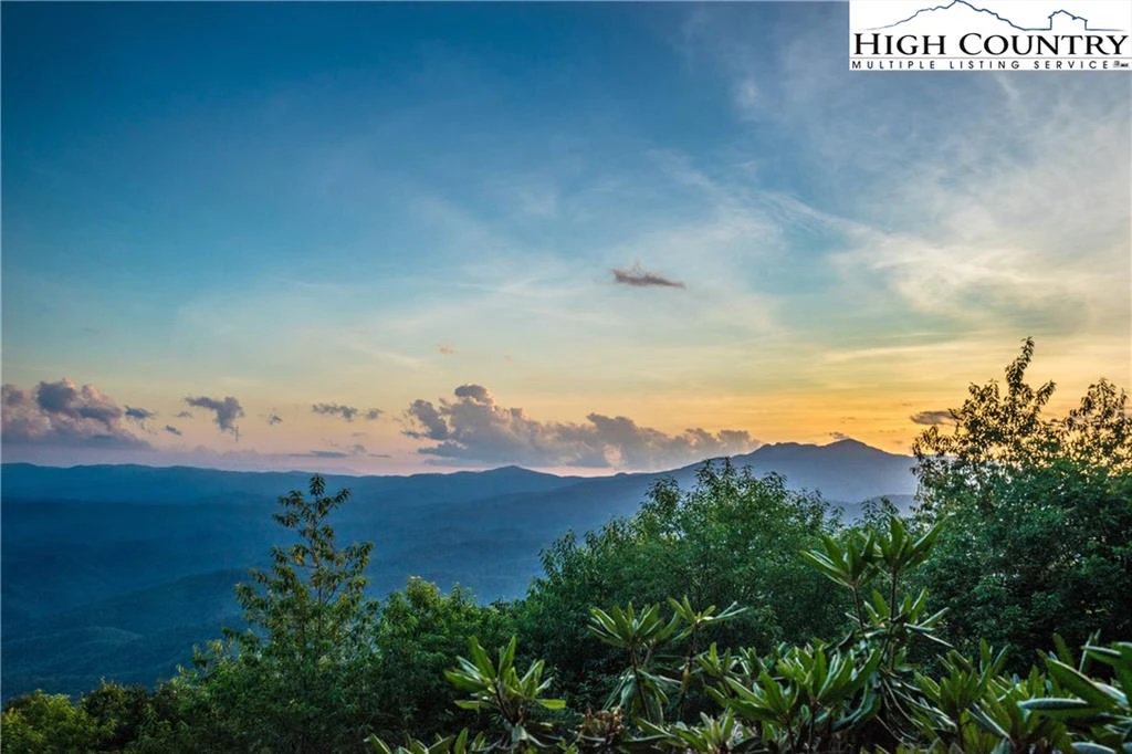 Image number 1 for the current listing