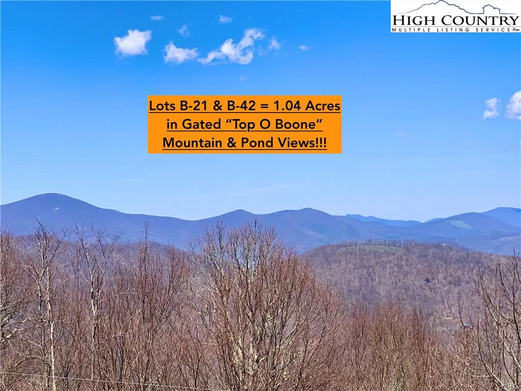 Image number 1 for the current listing