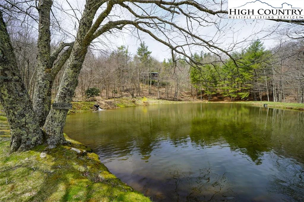 Image number 6 for the current listing
