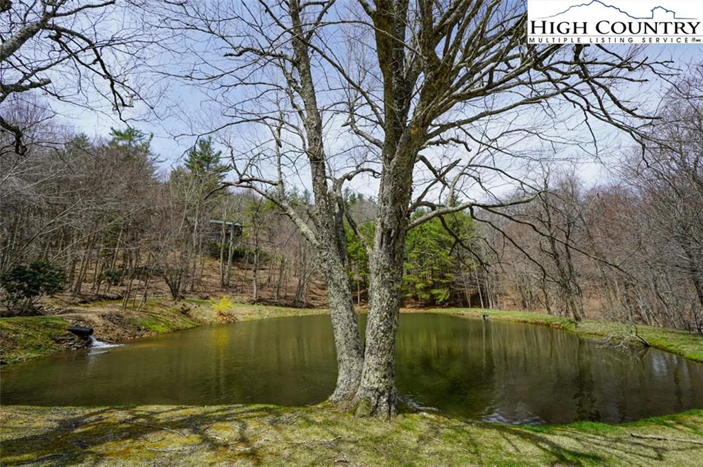 Image number 7 for the current listing