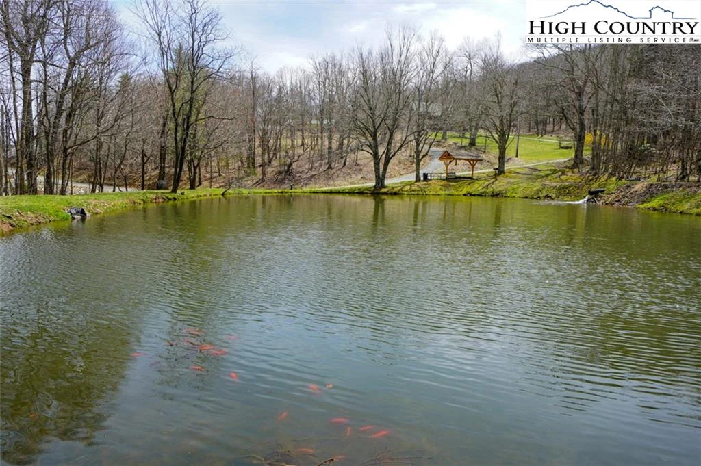 Image number 19 for the current listing
