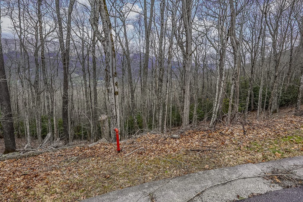 Image number 2 for the current listing