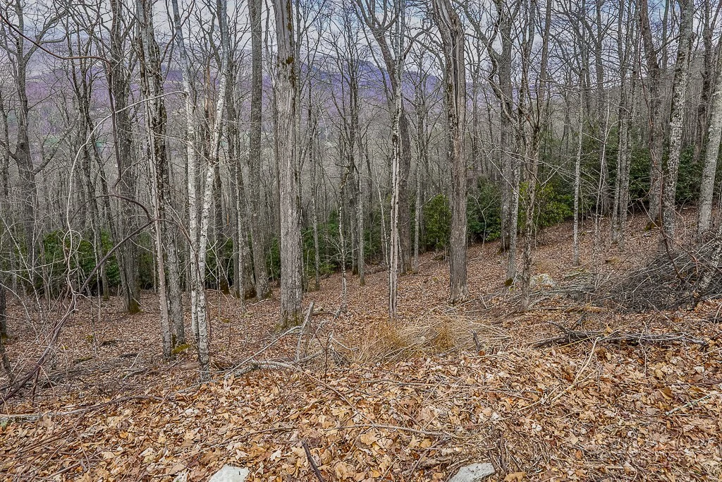 Image number 3 for the current listing