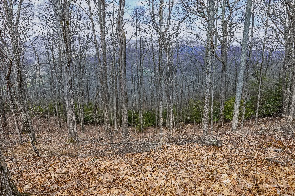 Image number 4 for the current listing