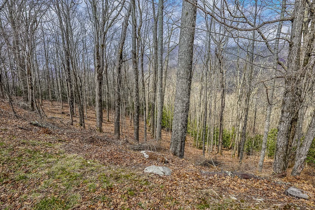 Image number 6 for the current listing