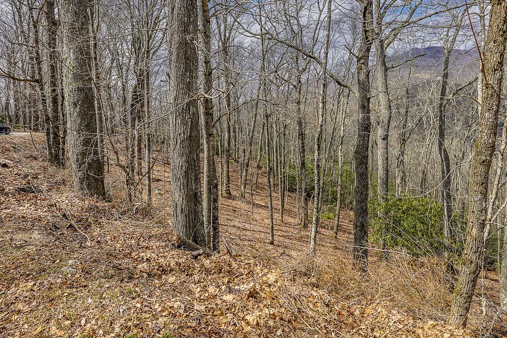 Image number 8 for the current listing