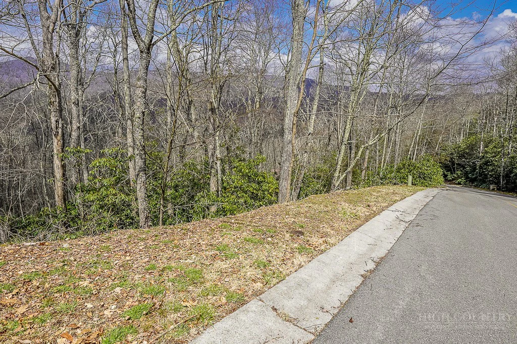 Image number 9 for the current listing