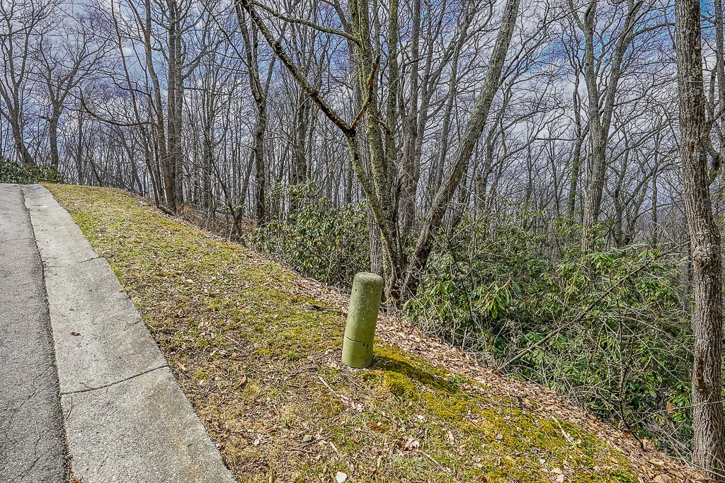 Image number 11 for the current listing