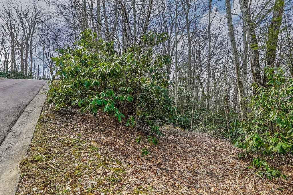 Image number 12 for the current listing