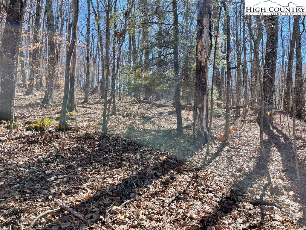Image number 11 for the current listing