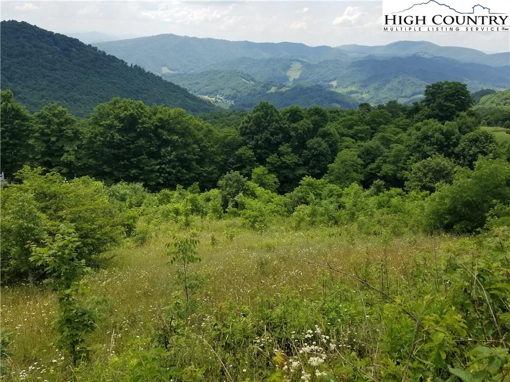 Image number 1 for the current listing