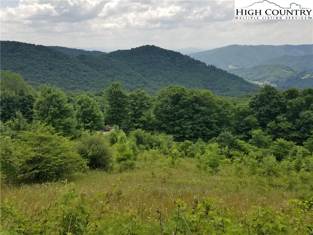Image number 3 for the current listing