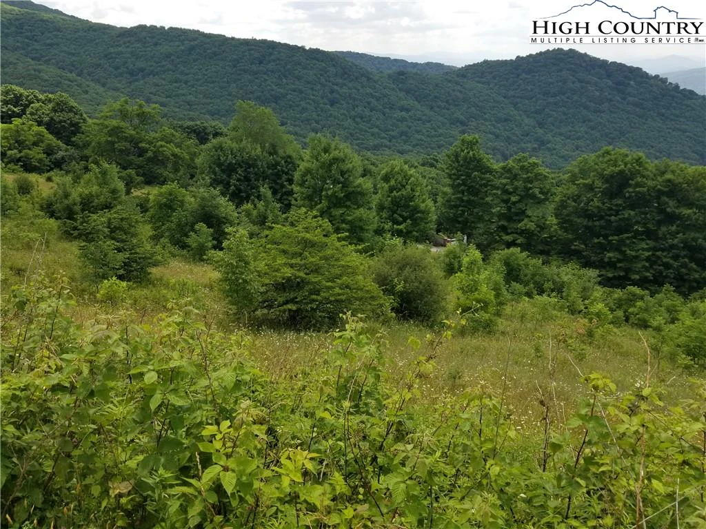 Image number 4 for the current listing