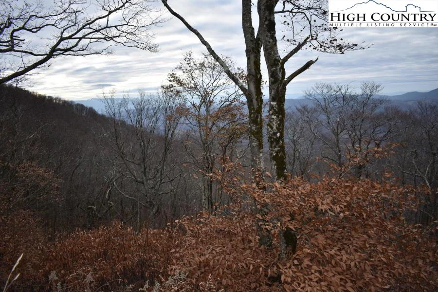 Image number 3 for the current listing