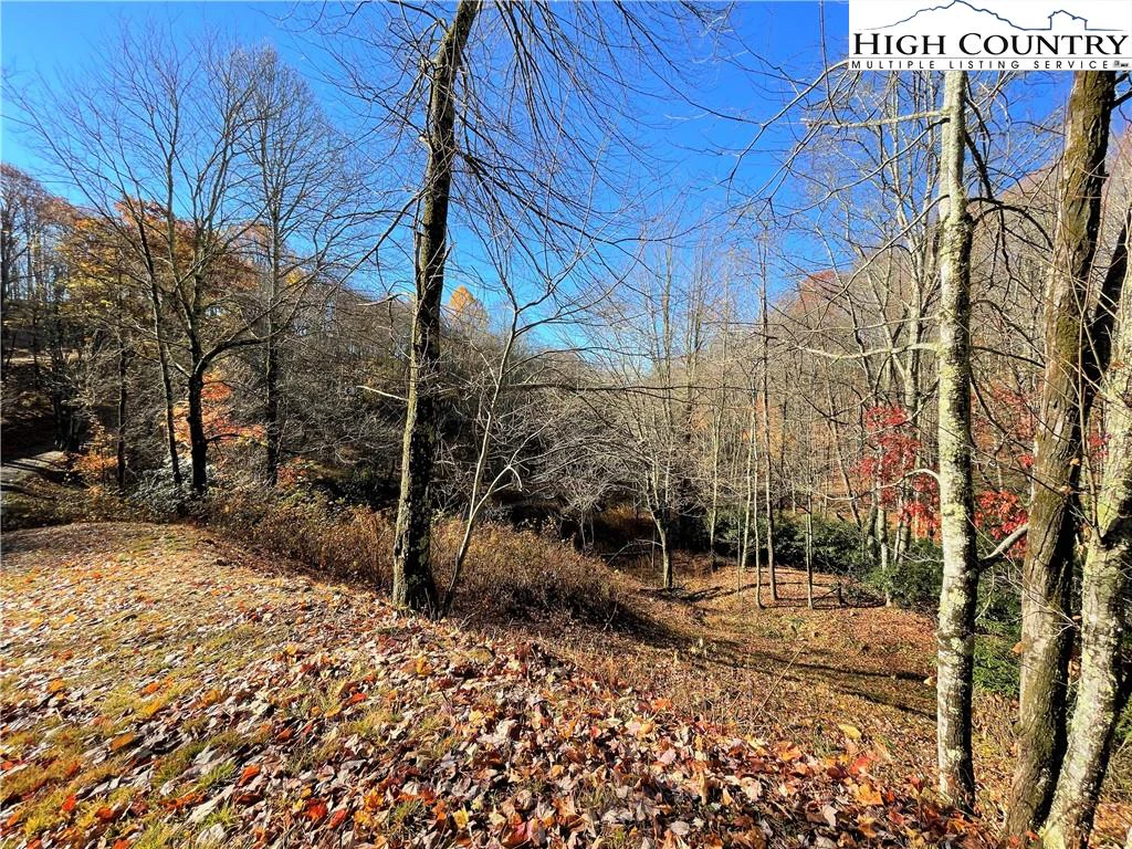 Image number 1 for the current listing