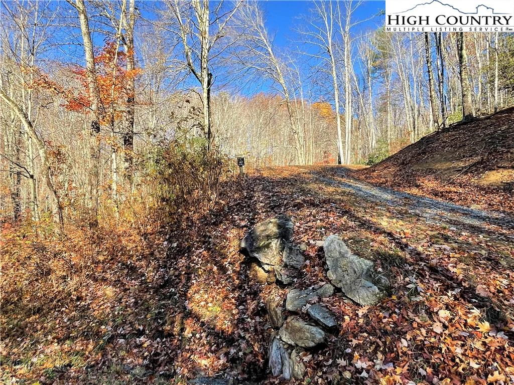 Image number 27 for the current listing
