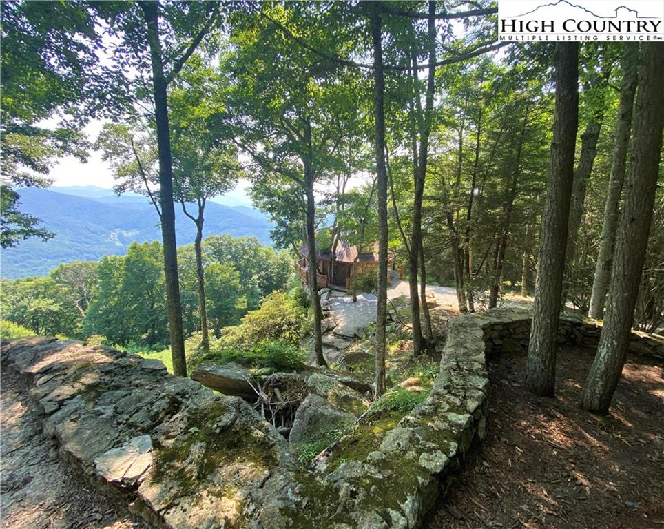 Image number 3 for the current listing