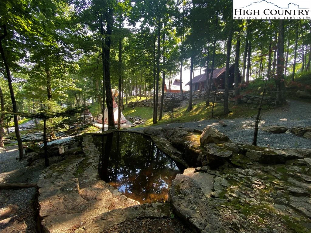 Image number 14 for the current listing