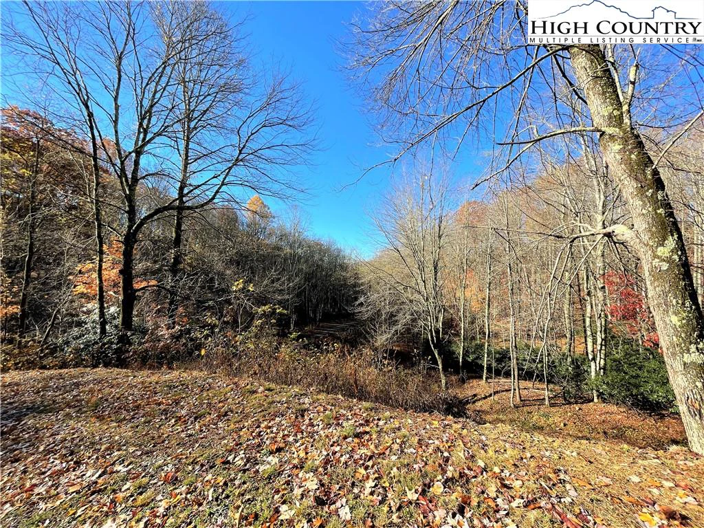 Image number 31 for the current listing